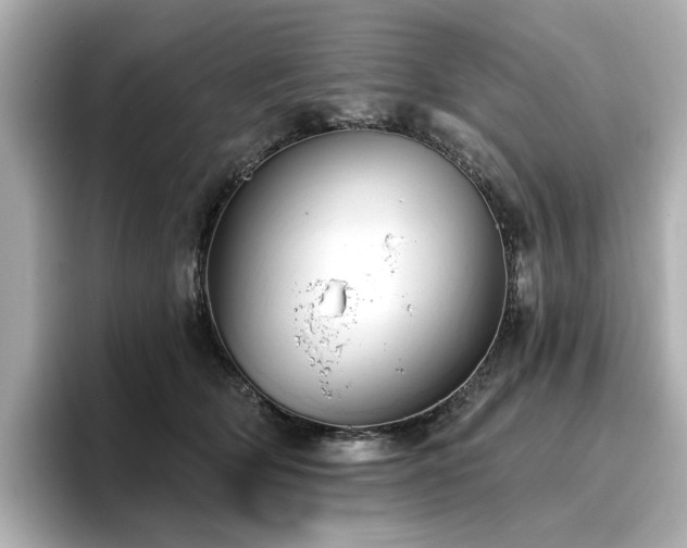X0000096720514200802051445