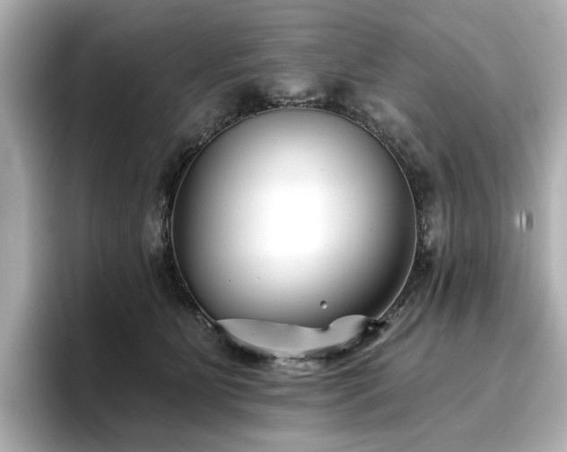X0000096720515200802051445