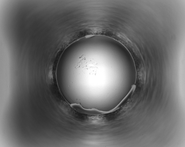X0000096720516200802051445