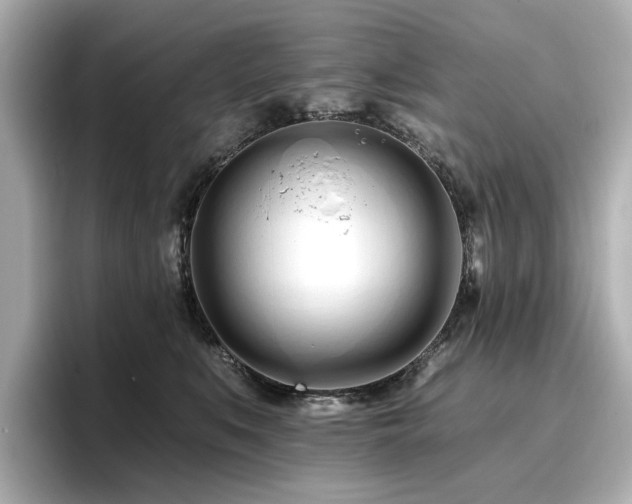 X0000096720519200802051445