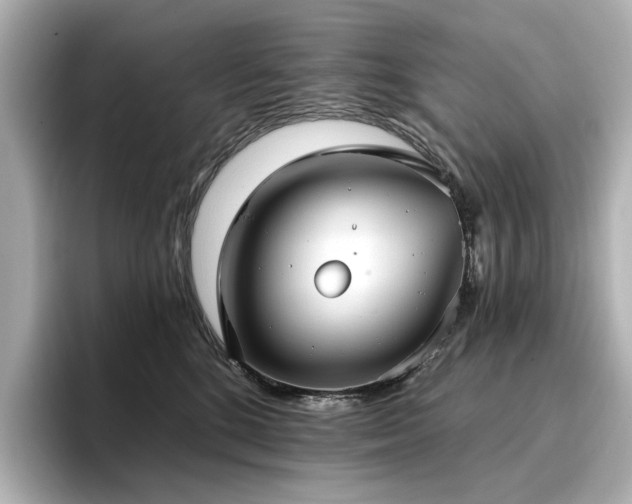 X0000096720520200802051445