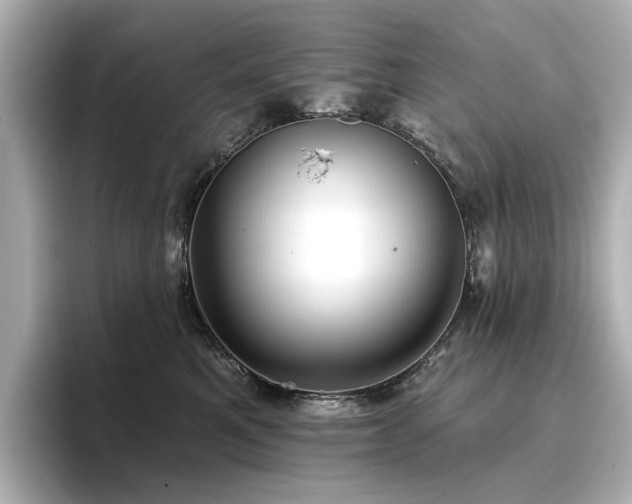 X0000096720521200802051445