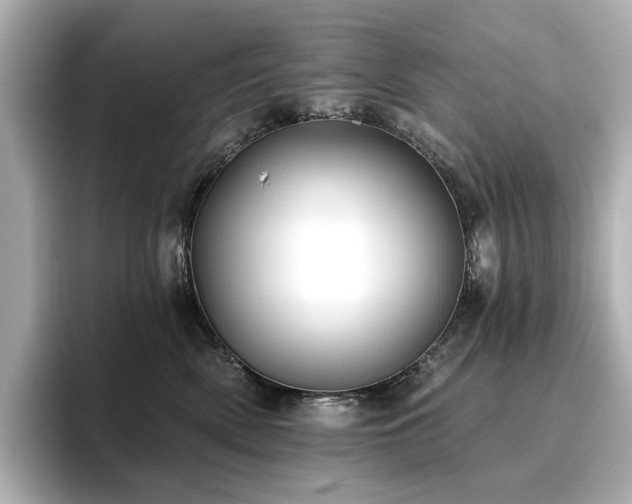 X0000096720522200802051445