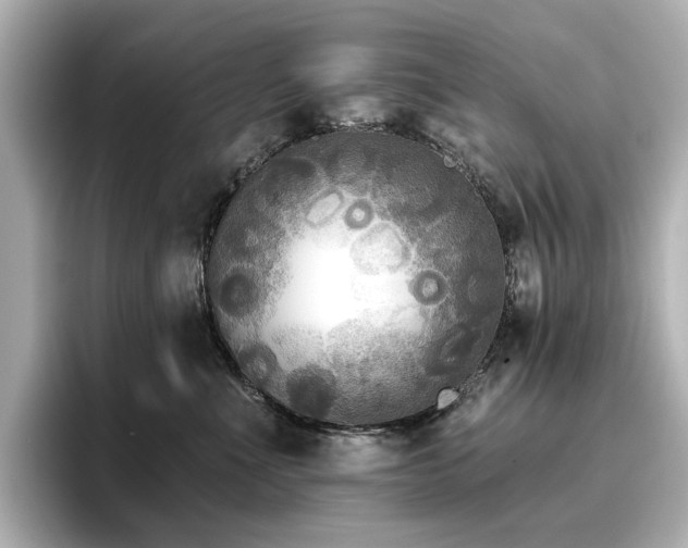 X0000096720523200802051445
