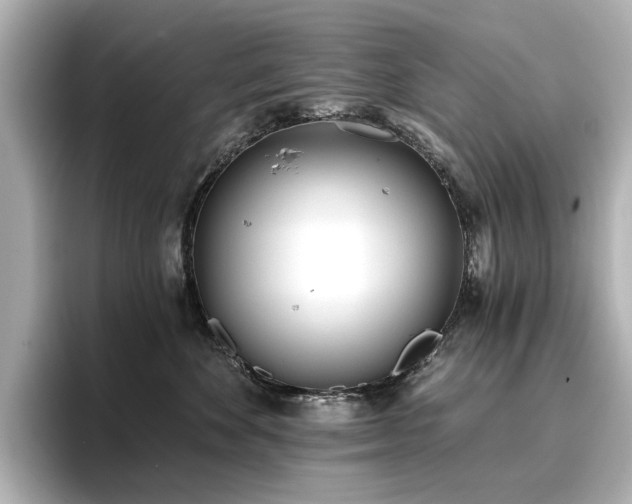 X0000096720524200802051445