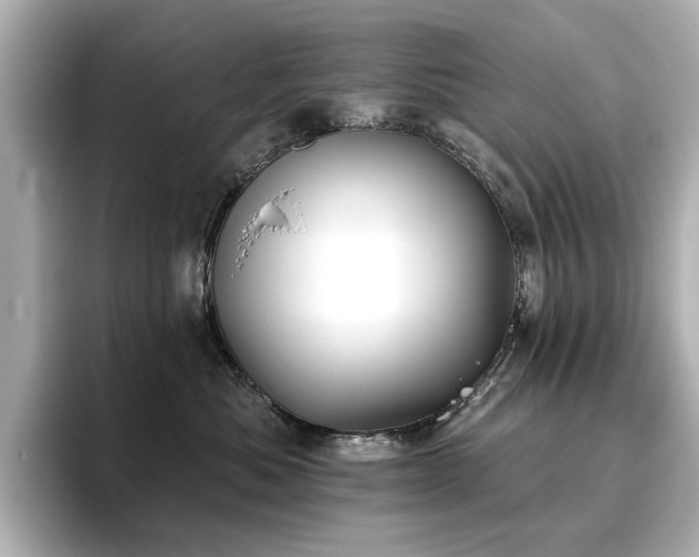 X0000096720525200802051445