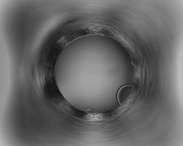 X0000096720526200802051445