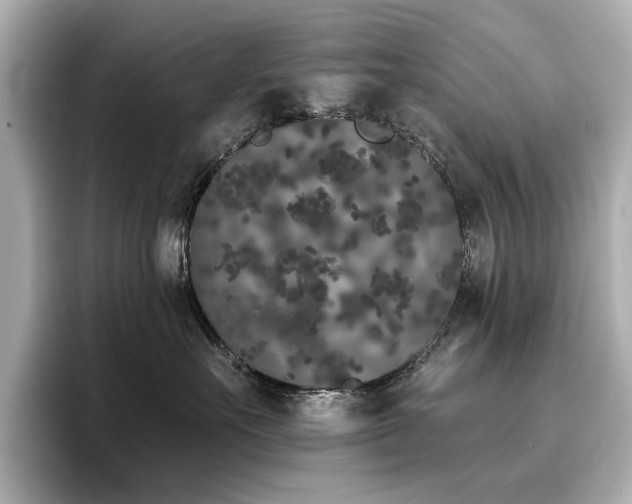 X0000096720527200802051445
