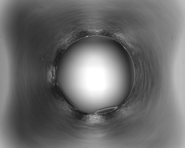 X0000096720528200802051445