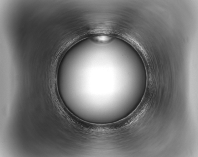 X0000096720529200802051444