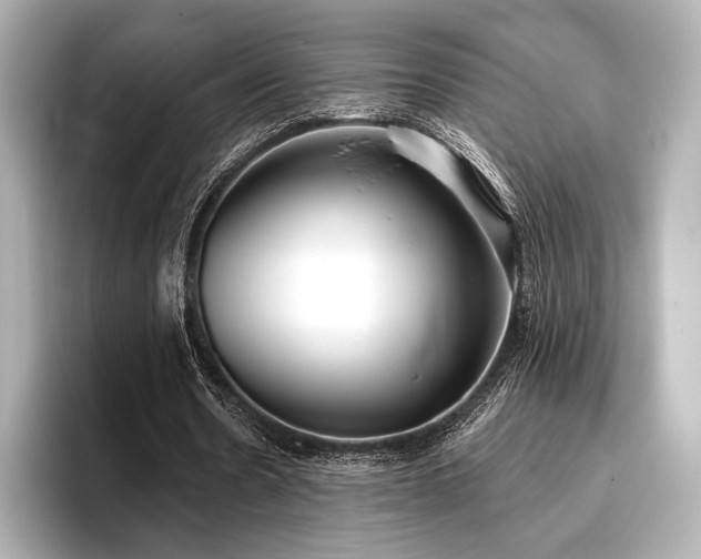 X0000096720530200802051444