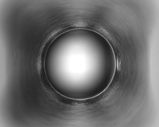 X0000096720531200802051444