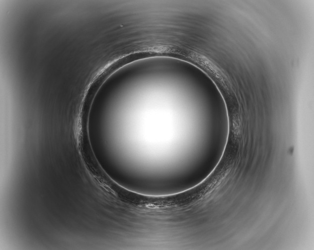 X0000096720532200802051445
