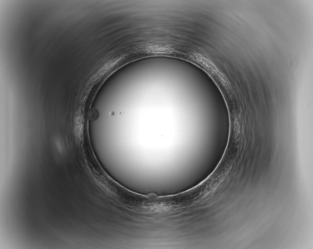 X0000096720533200802051445