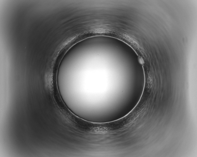 X0000096720535200802051445