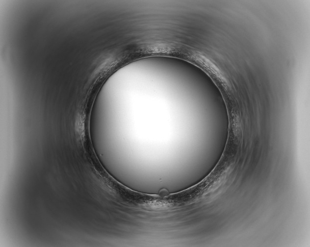 X0000096720537200802051445