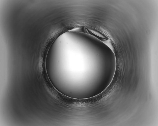 X0000096720538200802051445