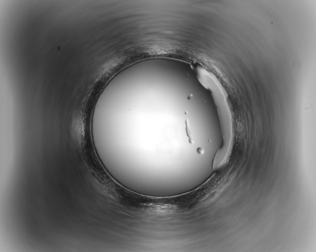 X0000096720539200802051445