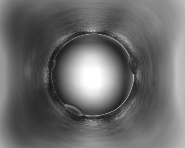 X0000096720540200802051445