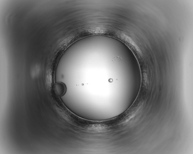 X0000096720541200802051445