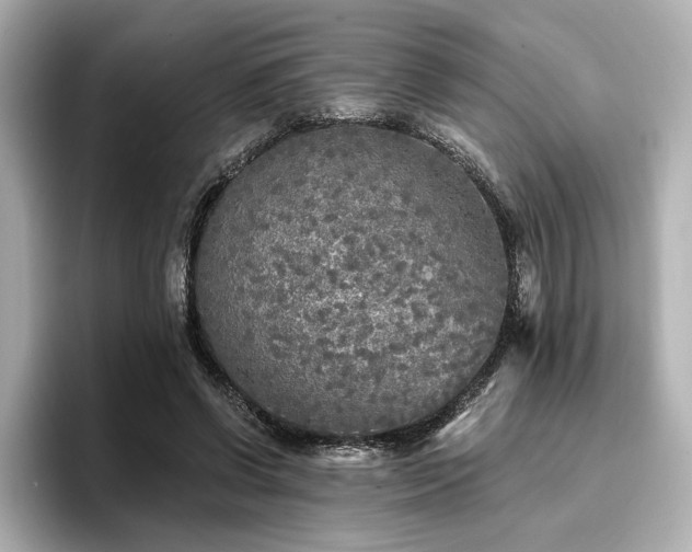 X0000096720542200802051445