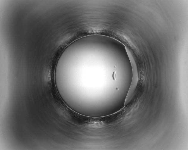 X0000096720543200802051445