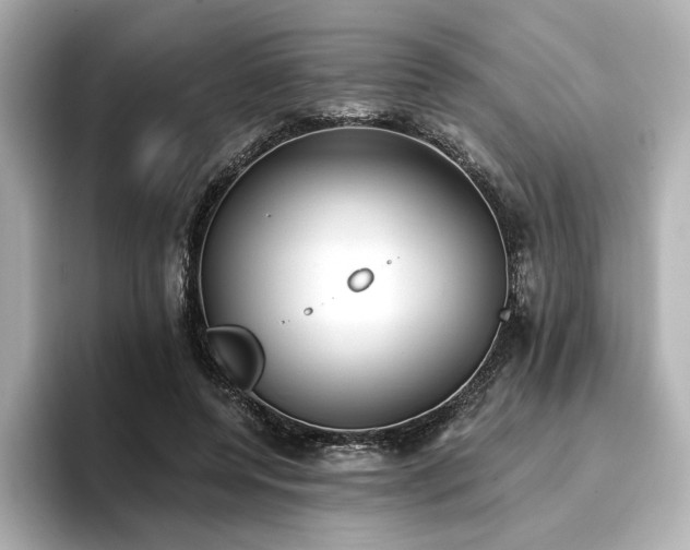 X0000096720544200802051445