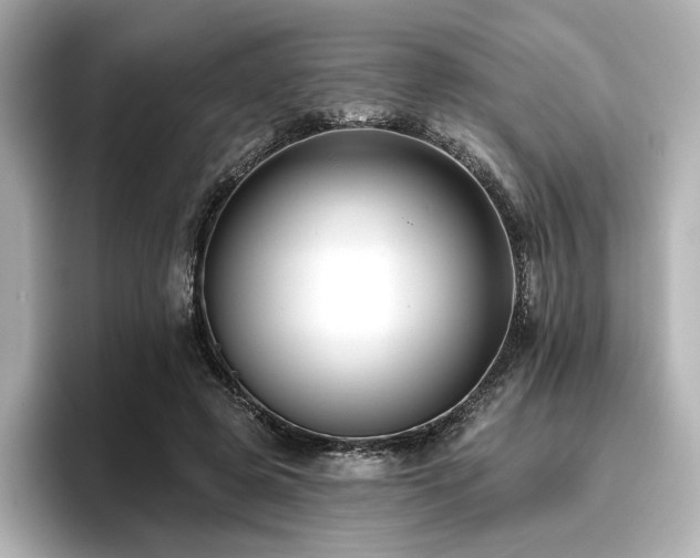 X0000096720545200802051445
