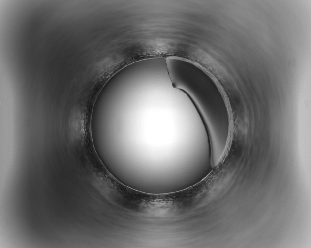 X0000096720546200802051445