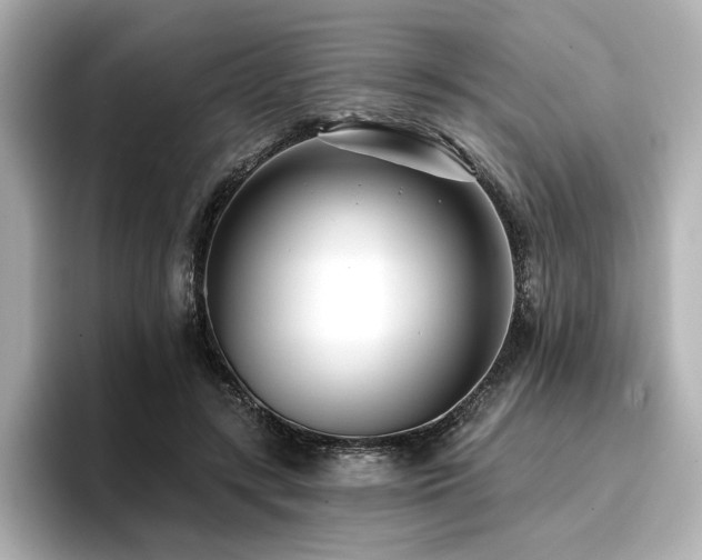 X0000096720547200802051445