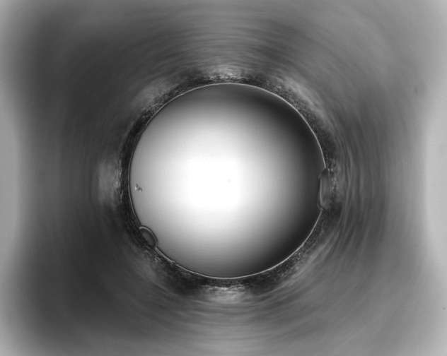 X0000096720548200802051445