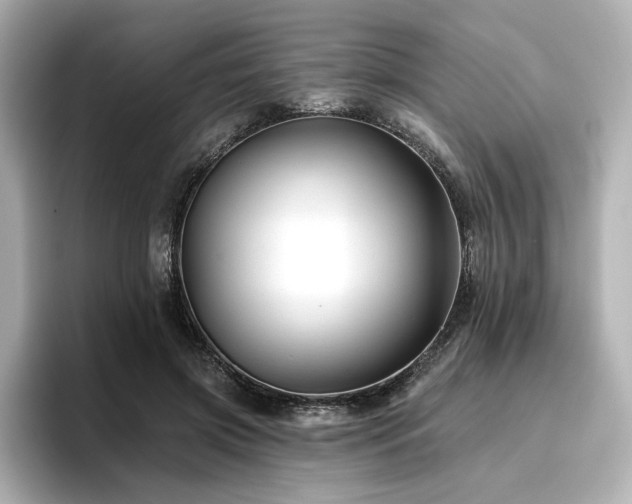 X0000096720549200802051445