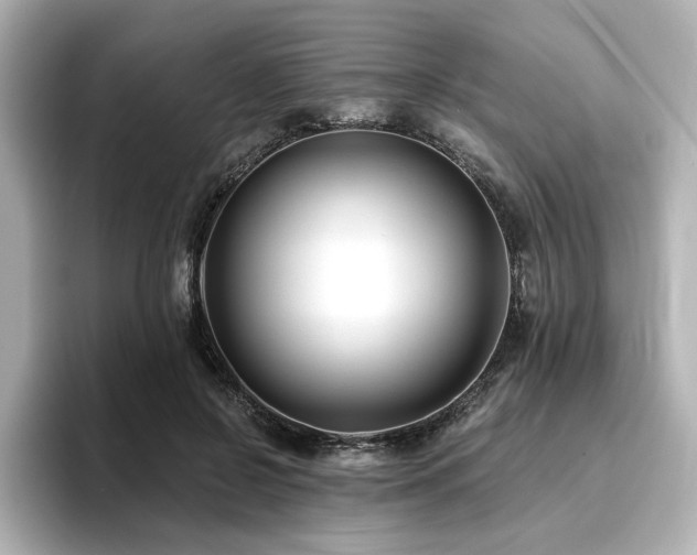 X0000096720550200802051445