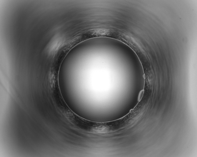 X0000096720551200802051445