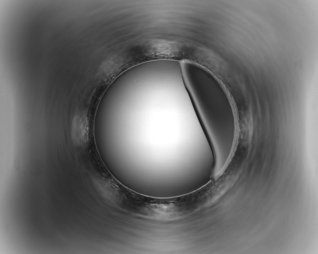 X0000096720552200802051445