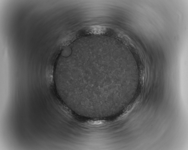 X0000096720553200802051445