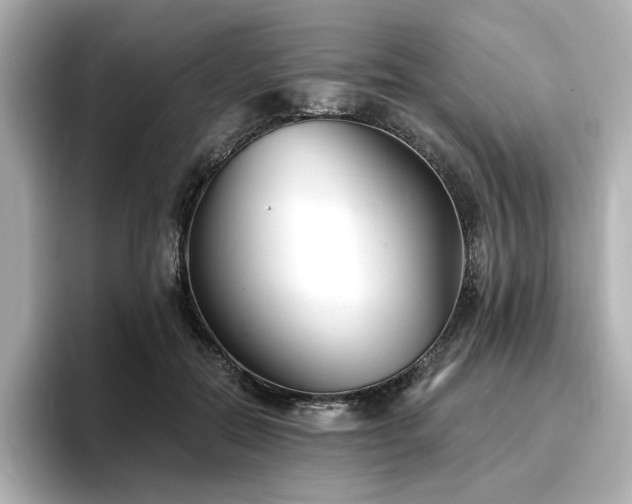X0000096720554200802051445
