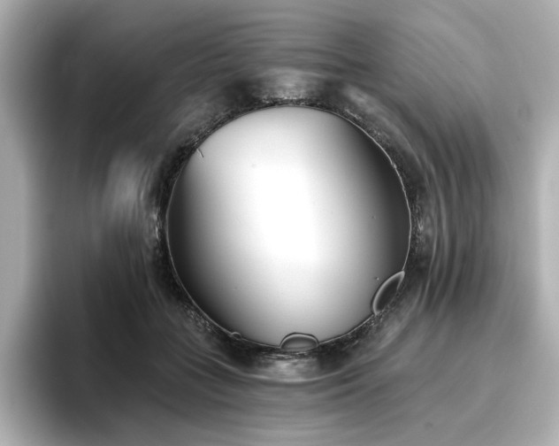 X0000096720555200802051445