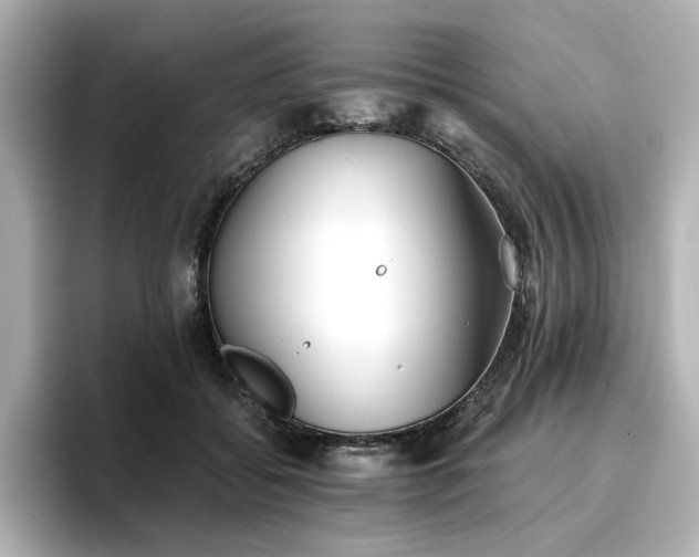 X0000096720556200802051445