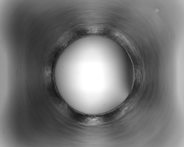 X0000096720557200802051445