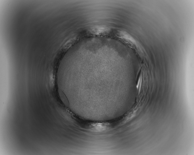 X0000096720558200802051445