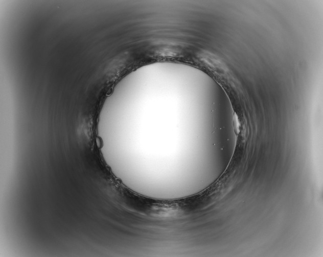 X0000096720559200802051445