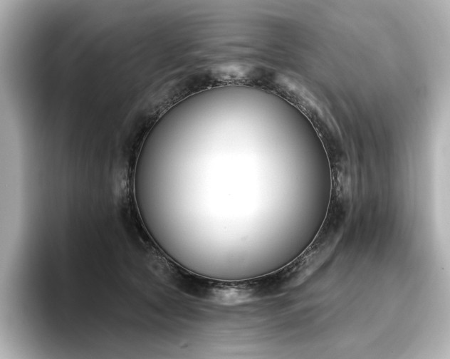 X0000096720561200802051445