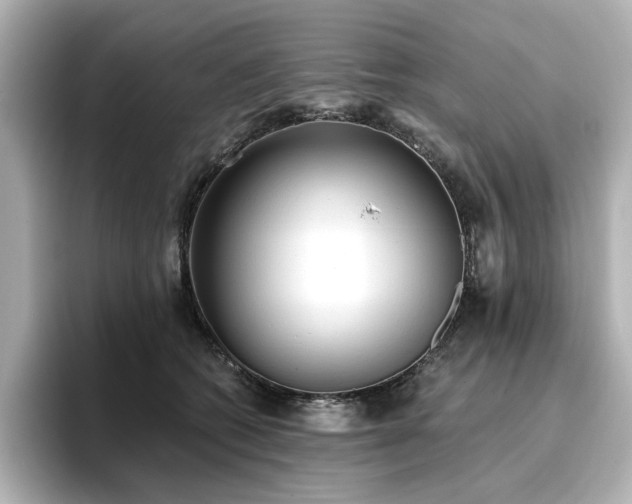 X0000096720562200802051445
