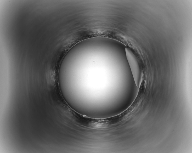 X0000096720563200802051445