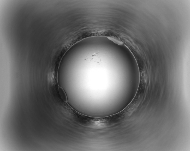 X0000096720564200802051445
