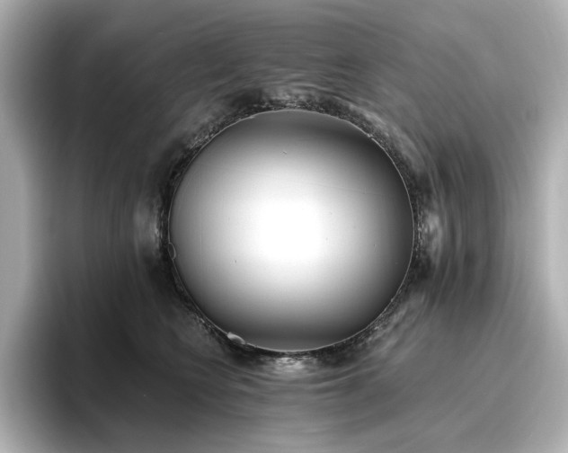 X0000096720566200802051445