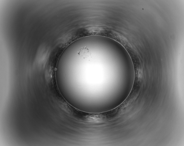 X0000096720567200802051445