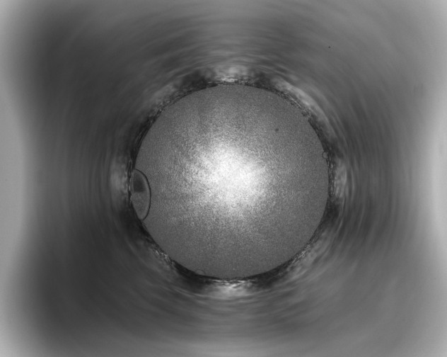 X0000096720569200802051445