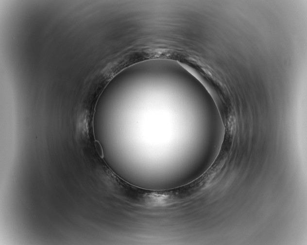 X0000096720570200802051445